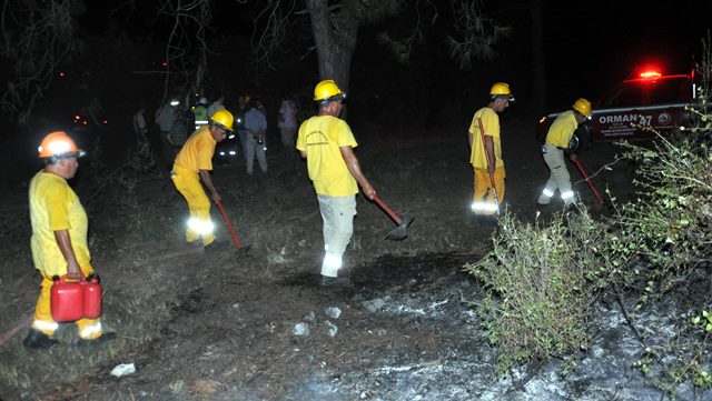 Ortaca’da Orman Yangını