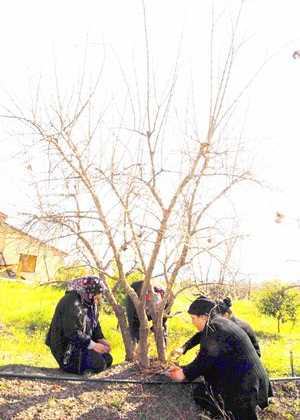 Tarım işçileri siyah giydi