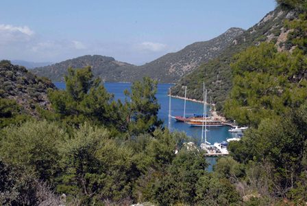 -Bakanlık açıklama yaptı