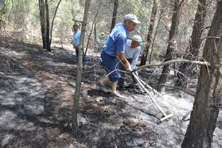 Ortaca’da orman yangını