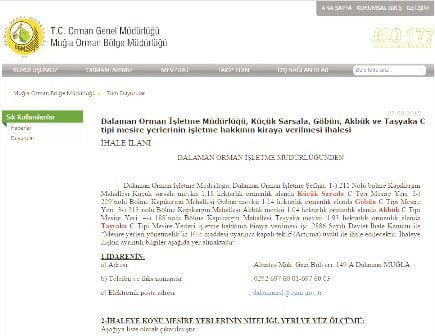 Koyların ihalesi yine iptal