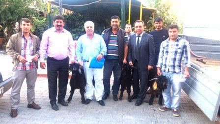 Dalaman’da hayvancılığı geliştirme çalışmaları