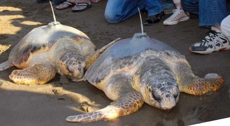 “Saldırı” değil, “Kendini Koruma”
