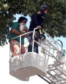 Kedi kurtarma operasyonu