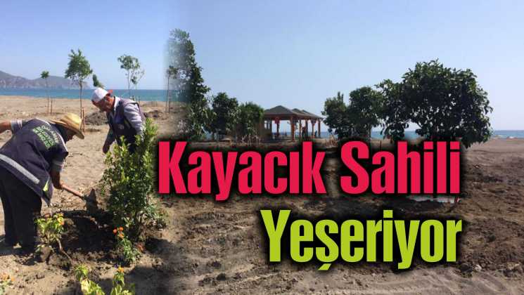 Kayacık sahilinde peyzaj düzenlemesi