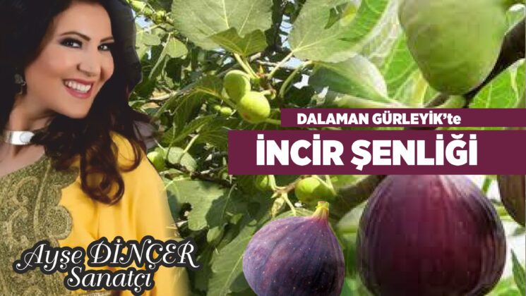 DALAMAN GÜRLEYİK’TE  İNCİR ŞENLİĞİ