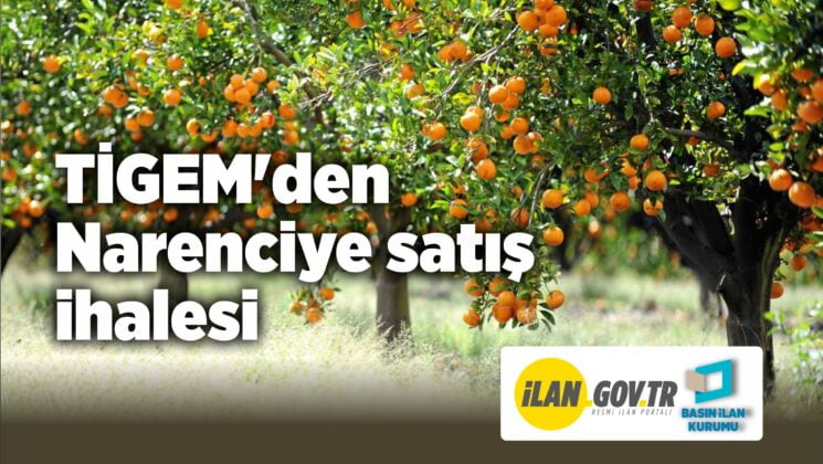 TİGEM’den Narenciye satış ihalesi