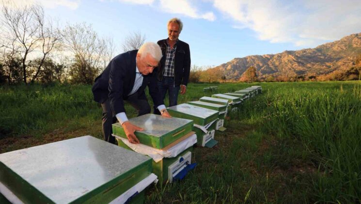 Muğlalı bal üreticisine Büyükşehir’den destek