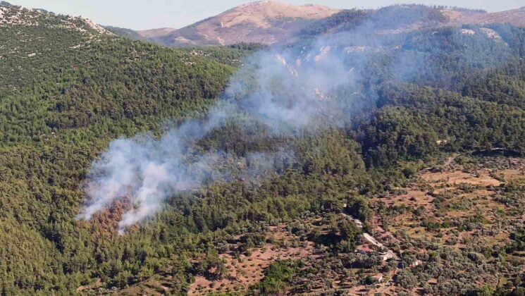 Milas’ta orman yangını