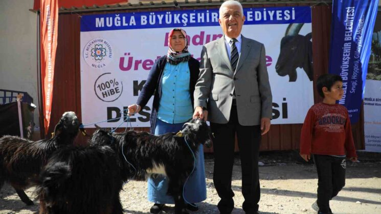 Büyükşehir’in Kıl Keçisi desteği 3 ilçede devam ediyor