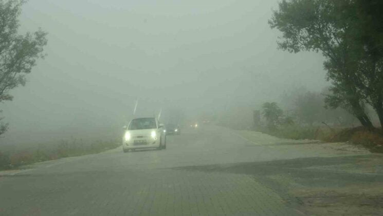 Muğla’da sis nedeniyle görüş mesafesi düştü
