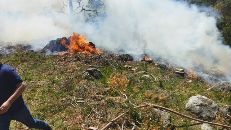 Orman yangını söndürüldü