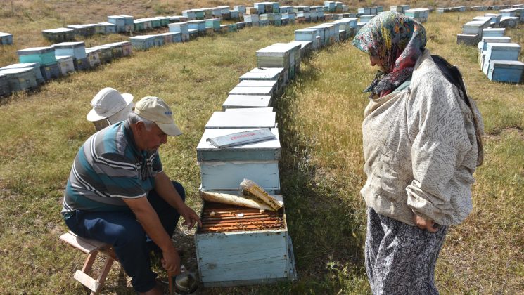 Arıcı çift, kaliteli bal için 30 yıldır Muğla ile Afyonkarahisar arasında mekik dokuyor