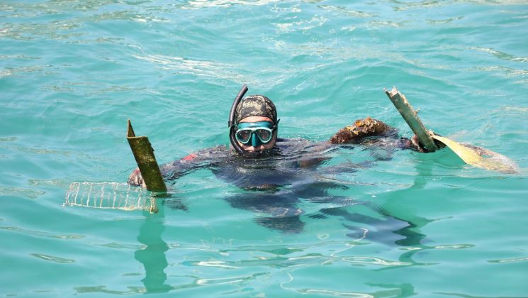 DENİZ DİBİNDE DALGIÇLAR TEMİZLİK YAPTI