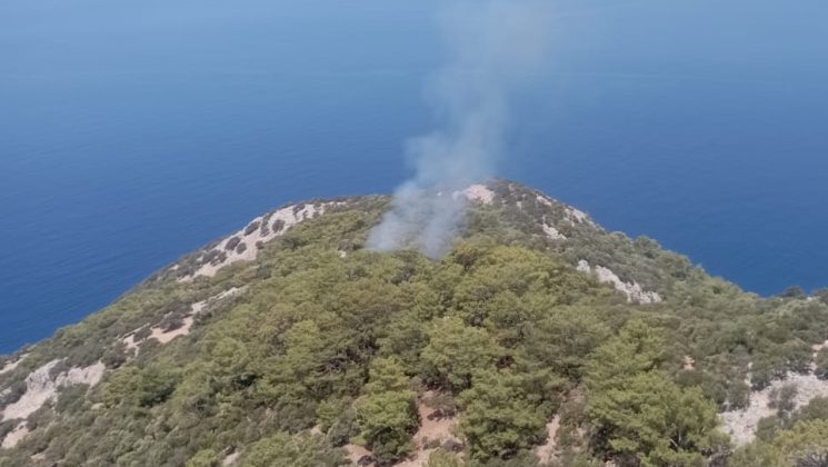 Ortaca’da orman yangını çıktı