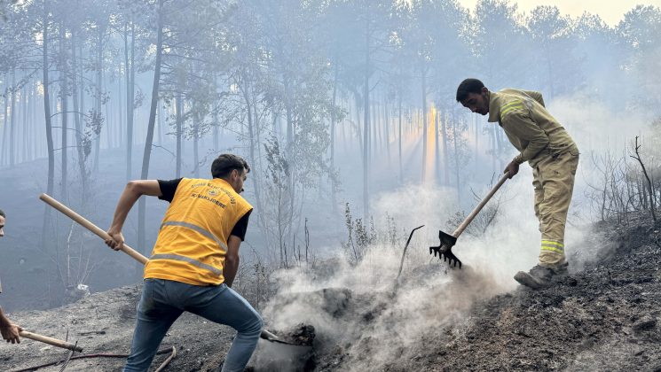 Muğla’da çıkan orman yangınlarına müdahale sürüyor