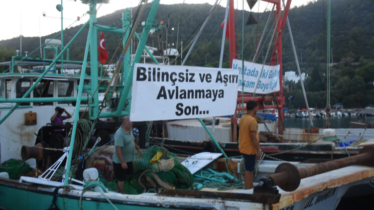 Balıkçılıkta Av Sezonu açıldı