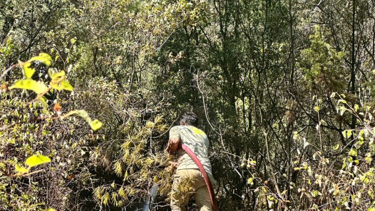 Muğla’da yıldırımın neden olduğu orman yangını söndürüldü