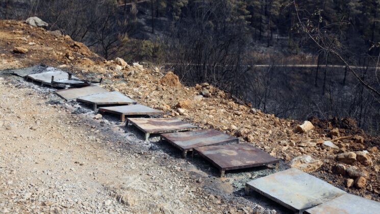 Orman yangınında 120 arı kovanı zarar gördü