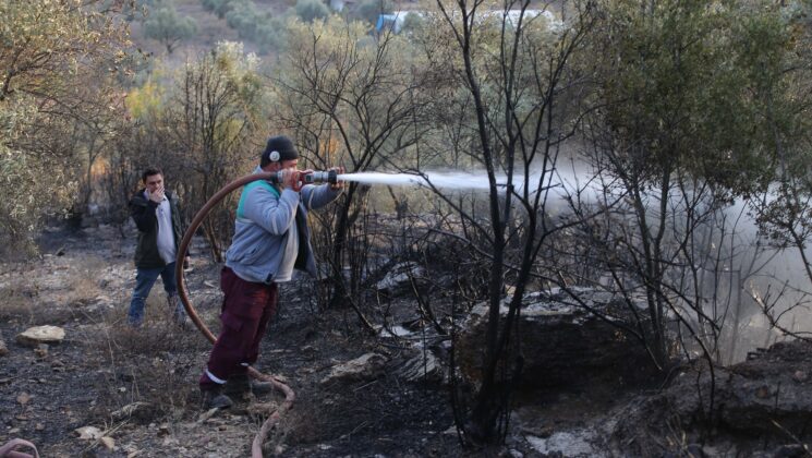 Muğla’da ormanlık ve zeytinlik alanda çıkan yangın kontrol altına alındı
