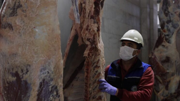 Büyükşehir Modern Mezbahaları ile Güvenilir Hizmet Veriyor