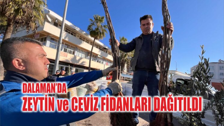 Dalaman’da Zeytin ve Ceviz Fidanları Dağıtıldı