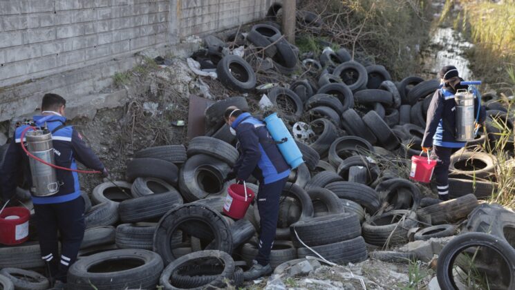 DALAMAN’DA SİVRİSİNEK İLE MÜCADELE YIL BOYUNCA DEVAM EDİYOR